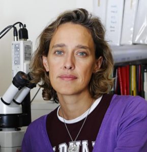 Dr. Alexandra HENRION-CAUDE PhD